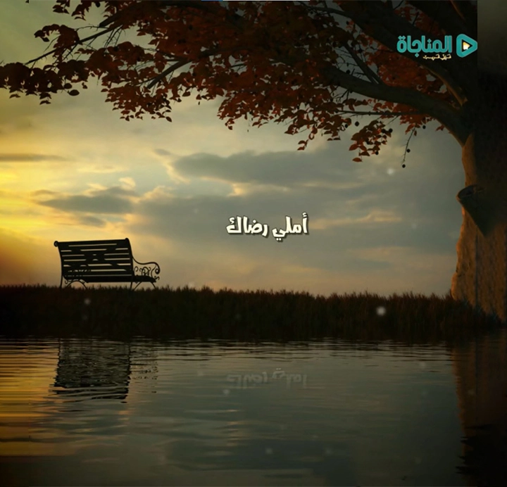 أملى رضاك 1