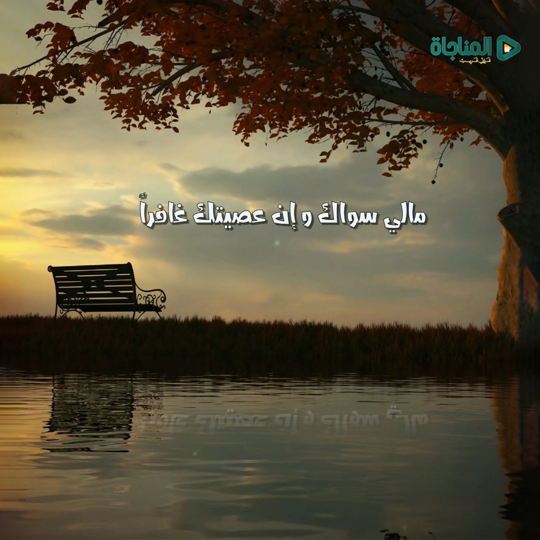أملى رضاك 2
