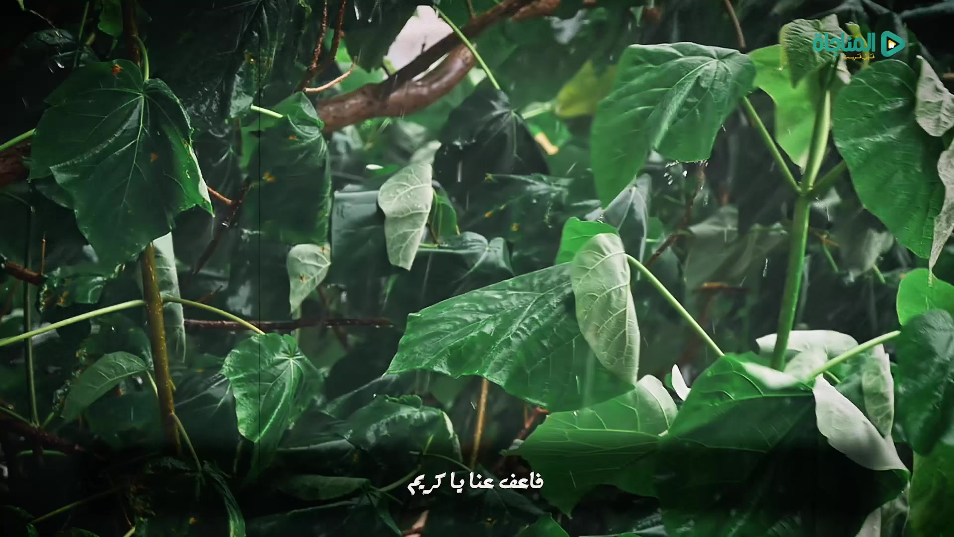 اللهم اهدنا فيمن هديت
